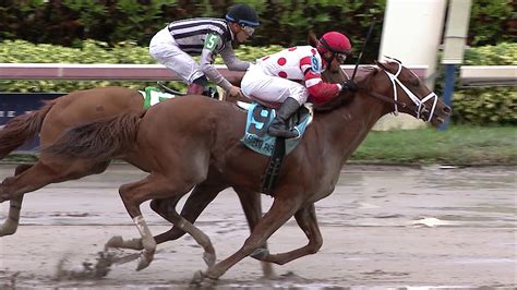6%, and third place picks are winning 16. . Gulfstream park results today replays